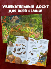 Секреты осеннего леса. Визуальная энциклопедия - Фото 6