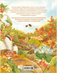 Секреты осеннего леса. Визуальная энциклопедия - Фото 13