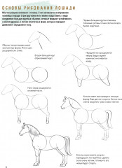 Создаем наброски лошадей шаг за шагом. Скетчбук начинающего художника - Фото 3
