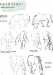 Создаем наброски лошадей шаг за шагом. Скетчбук начинающего художника - Фото 5