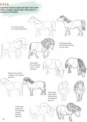 Создаем наброски лошадей шаг за шагом. Скетчбук начинающего художника - Фото 8