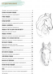 Создаем наброски лошадей шаг за шагом. Скетчбук начинающего художника - Фото 1