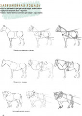Создаем наброски лошадей шаг за шагом. Скетчбук начинающего художника - Фото 6