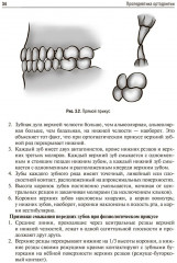 Пропедевтика ортодонтии - Фото 9