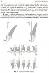 Пропедевтика ортодонтии - Фото 13