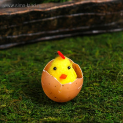 Набор фигурок «Цыплята в яйце на травке» - Фото 1