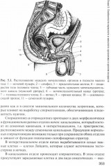 Здоровый человек и его окружение - Фото 11