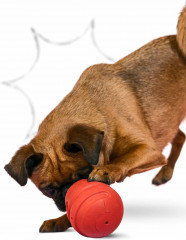 Игрушка для собак с ароматом бекона - Фото 2