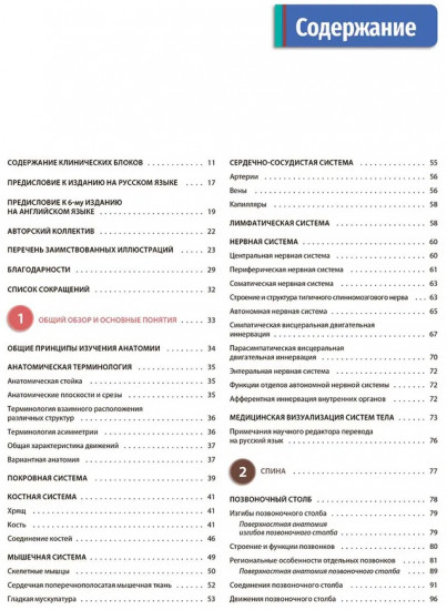 Клиническая анатомия по Муру