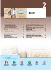 Клиническая анатомия по Муру - Фото 8