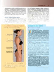 Клиническая анатомия по Муру - Фото 12