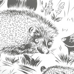 Гравюра «Ежи» - Фото 3