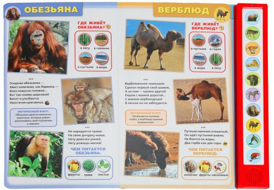 Озвученная книга «Дикие животные»