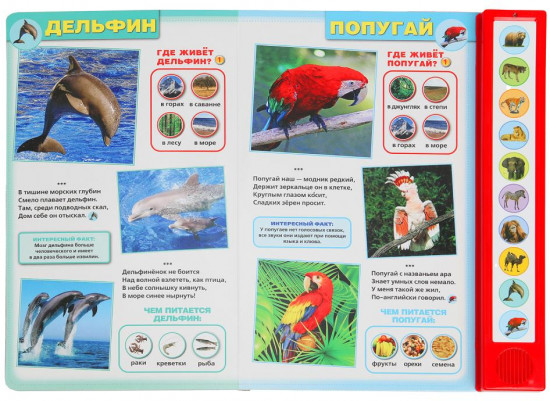 Озвученная книга «Дикие животные»