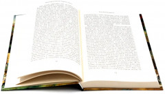 Голем. Пляска смерти. Гротески. Комплект из 3 книг - Фото 4