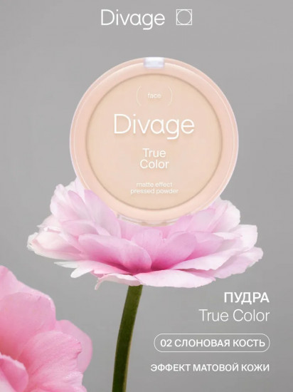 Пудра для лица «True Color», оттенок 02 Ivory