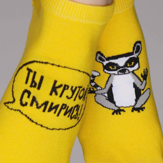 Носки унисекс «Ты крутой, смирись!»