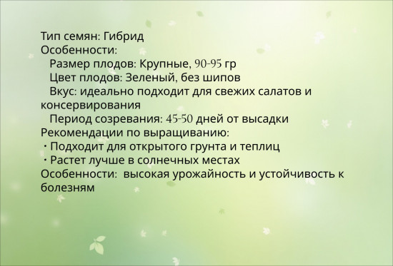Семена гибридного огурца «Адам F1»