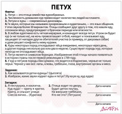 Набор карточек «Домашние животные» - Фото 5