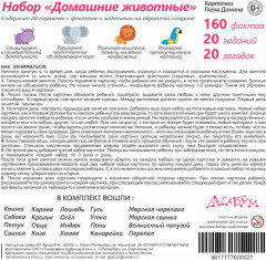 Набор карточек «Домашние животные» - Фото 6