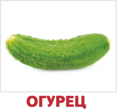 Набор из 20 карточек «Овощи» - Фото 1