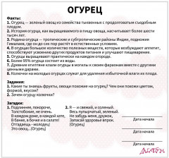 Набор из 20 карточек «Овощи» - Фото 4