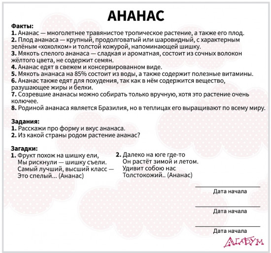 Набор из 20 карточек «Фрукты»