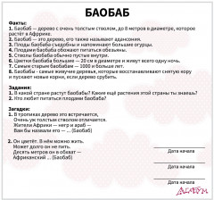 Набор карточек «Деревья» - Фото 4