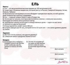 Набор карточек «Деревья» - Фото 5