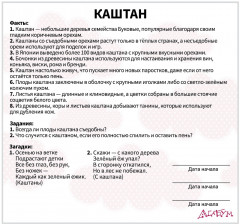 Набор карточек «Деревья» - Фото 6