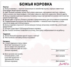 Набор из 20 карточек «Насекомые» - Фото 5