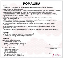 Набор карточек «Цветы» - Фото 5