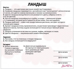 Набор карточек «Цветы» - Фото 6