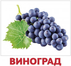 Набор из 20 карточек «Ягоды» - Фото 1