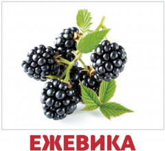 Набор из 20 карточек «Ягоды» - Фото 2