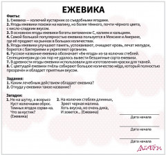 Набор из 20 карточек «Ягоды» - Фото 3