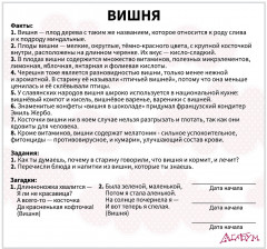 Набор из 20 карточек «Ягоды» - Фото 4