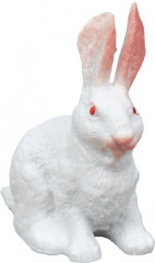 Набор фигурок «Домашние животные» - Фото 4