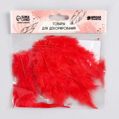 Набор перьев для декора - Фото 1