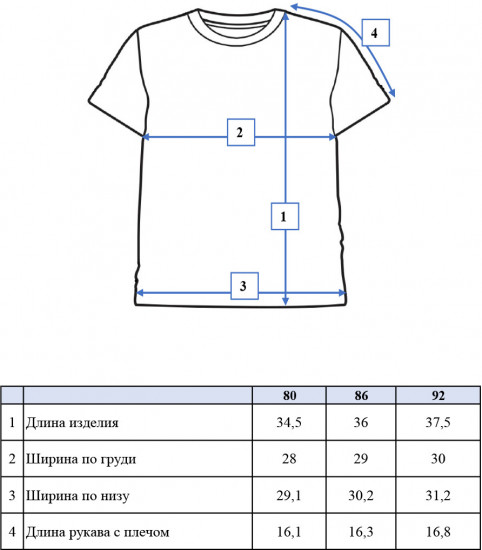 Комплект для мальчиков: футболка, брюки