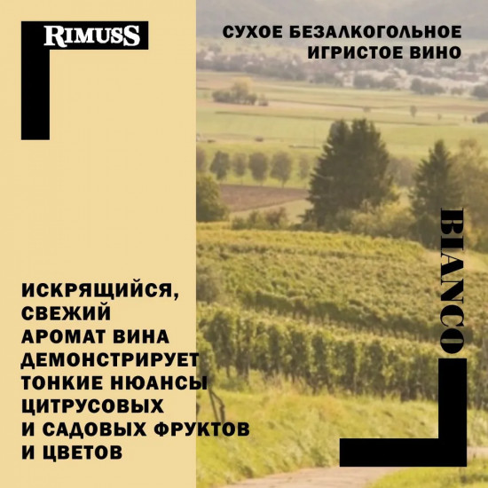 Шампанское безалкогольное белое сухое «Bianco»