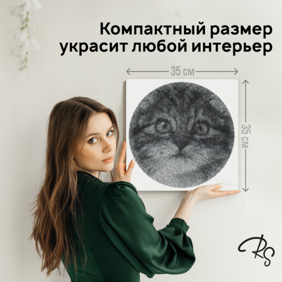 Картина нитью в технике стринг-арт «Mini»