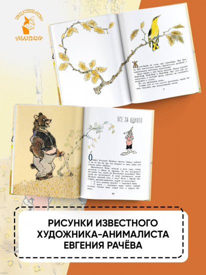Весёлые зайцы