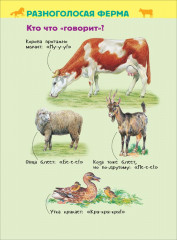 Домашние животные. Энциклопедия для детского сада - Фото 4