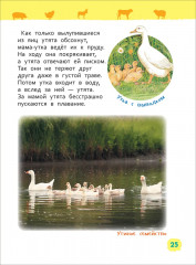 Домашние животные. Энциклопедия для детского сада - Фото 6