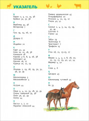 Домашние животные. Энциклопедия для детского сада - Фото 7