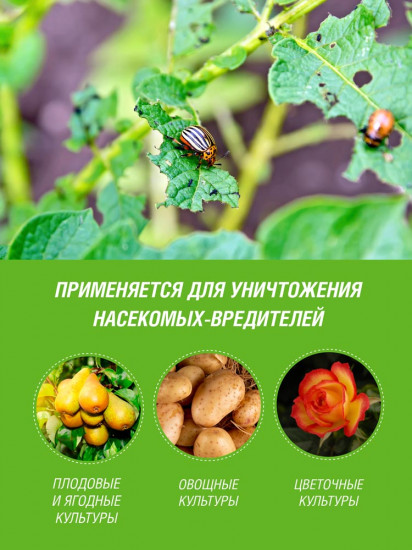 Инсектицид для плодовых культур «Лепидоцид»