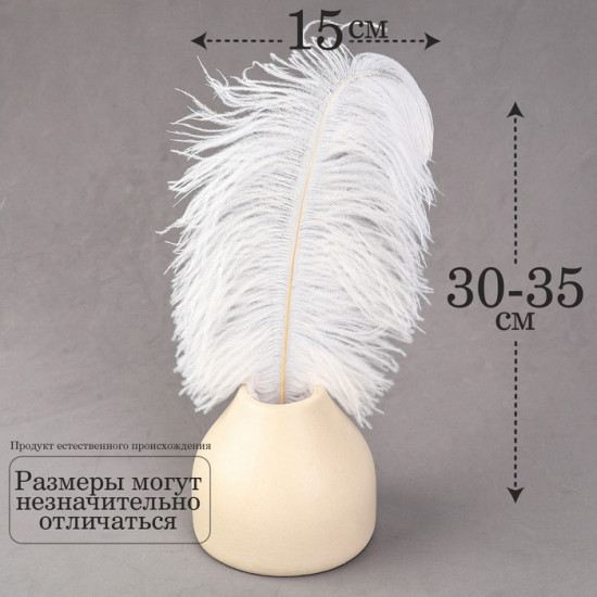 Перо для декора