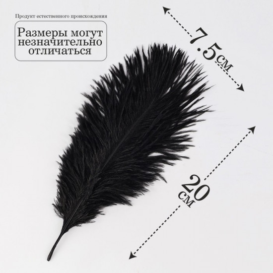 Перо для декора