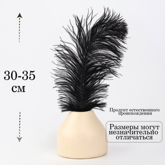 Перо для декора